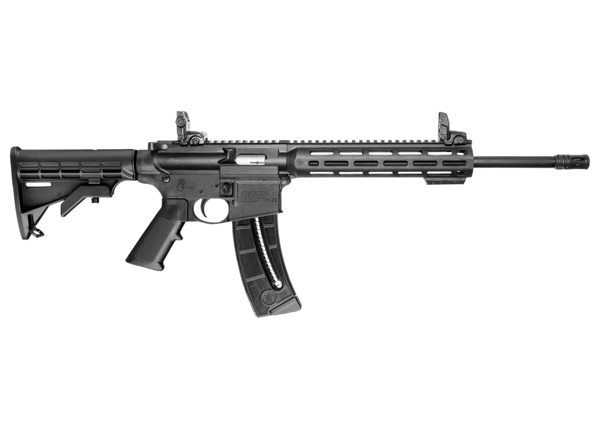 Smith & Wesson M&P15 Sport - 22LR Rifle - 10208