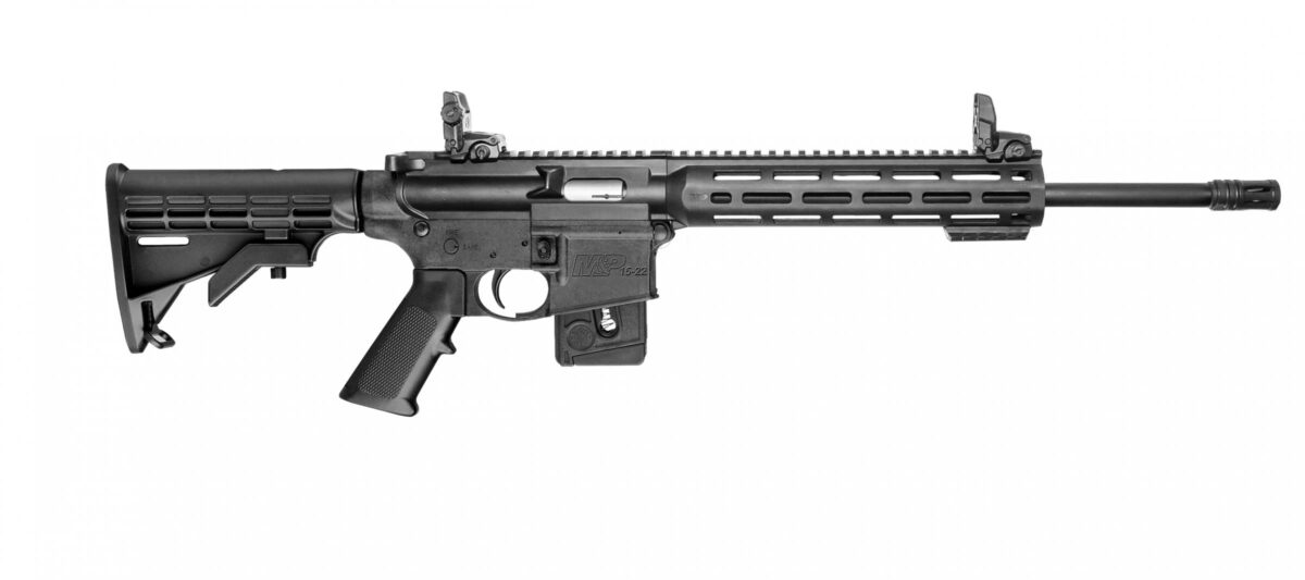 SMITH AND WESSON M&P15-22 SPORT 22LR 10+1 CA 1 10206c942