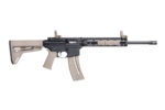 SMITH AND WESSON M&P15-22 SPORT MOE SL 22LR FDE 2 102101dff