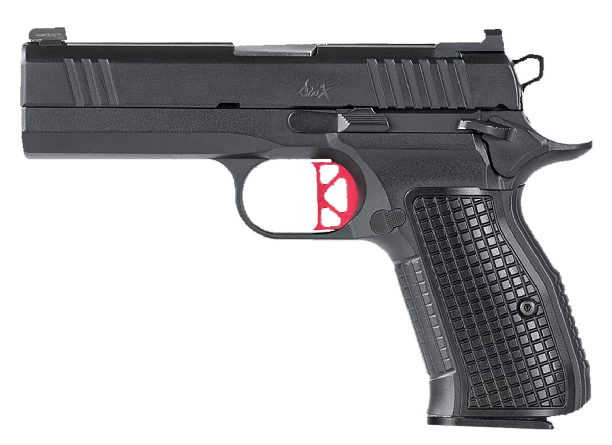 Dan Wesson 92102 DWX Compact Compact Frame 9mm Luger 15+1 4" Match Grade Barrel, Black Serrated Steel Slide, Steel Frame w/Beavertail, Aluminum Grip, Ambidextrous 1 119293