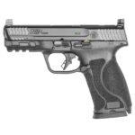 SMITH AND WESSON M&P10MM M2.0 10MM 4" NTS OR 2 13389f7dc