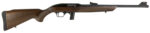 Rossi RS22L1811WD RS22 Full Size 22 LR 10+1 18" Matte Black Steel Barrel, Matte Black Receiver, Fixed Hardwood Stock 2 157583