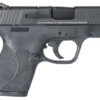 Smith & Wesson 11810 M&P Shield M2.0 Micro-Compact Frame 9mm Luger 7+1/8+1, 3.10" Black Armornite Stainless Steel Barrel & Serrated Slide, Matte Black Polymer Frame, Black Textured Grip, No Safety 2 45097
