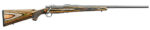 RUGER HAWKEYE PREDATOR 204RUG SS/LAM 2 hawkeye predator 2