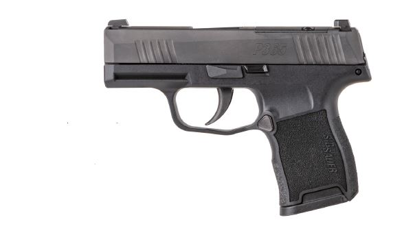 SIG SAUER P365 380ACP BLK 10+1 NS 1 si365380bss5ccb