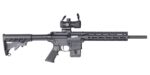 SMITH AND WESSON M&P15-22 SPORT OR 22LR 10+1 CA 2 sm12724