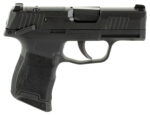 Sig Sauer 365380BSSMSMA P365 380 10+1 3.10" Nitron 2 153665
