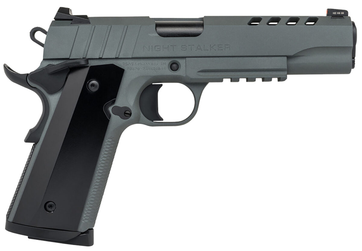Tisas 10100538 1911 Night Stalker Full Size 9mm Auto 9+1 5" Steel Barrel, Ported/Serrated Steel Slide, Platinum Grey Cerakote Steel Frame w/Beavertail & Picatinny Rail, Ambidextrous 1 163468