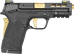 Smith & Wesson 12719 Performance Center M&P Shield EZ M2.0 380 ACP 3.80" 8+1 Black Black Armornite Stainless Steel Slide Black Polymer Grip Gold Colored Accents 2 113257