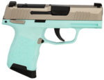 SIG 365380REBMS P365 380 XR3MS 3.1 10R TRQ 2 152493