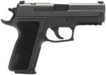 Sig Sauer E29R9BSER2 P229 9mm Luger 15+1 3.90" Optic Ready Black Compact Frame E2 Grip 2 169354