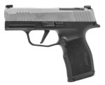 Sig Sauer 365X9SXR3P P365X Micro-Compact Frame 9mm Luger 12+1 3.10" Steel Barrel, Stainless Steel Optic Ready/Serrated Slide, Black Stainless Steel Frame w/Accessory Rail, Polymer Grip 2 183885