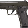 Sig Sauer 226XCA9LEGION10 9mm Luger 2 182483