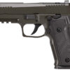 SIG 226X9LEGION P226 9MM 4.4 OR DASA 18R 2 182479