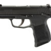 SIG P365 MS 380ACP 3.1" 10RD NS MA 2 SG365 380 BSS MS MA 1