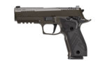SIG 226 XLGN DA/SA 9MM 4.4" 10RD GRY 2 SG226X 9 LEGION 10 1