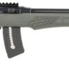 Rossi RS22W2111G RS22 22 WMR 10+1 21" Matte Black Barrel, Matte Black Alloy Steel Frame, Gray Fixed Monte Carlo Stock Right Hand 2 140896