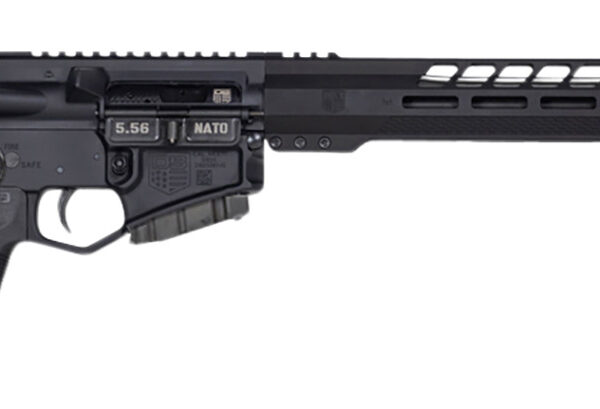 Diamondback DB1791K001 DB15 *CA Compliant 5.56x45mm NATO 16" 10+1 Black Adjustable Magpul CTR Stock Black Magpul MOE K2 Grip with Black Gold Lower