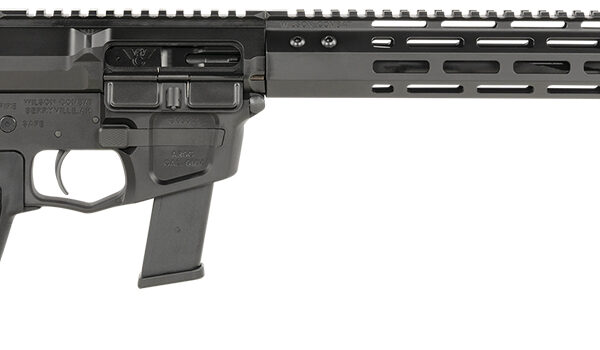Wilson Combat TRAR9GB91610 AR9G Carbine 9mm Luger 17+1 16" Black Match Grade Threaded Barrel, Black Armor-Tuff Aluminum Receiver, M-LOK Handguard, Black Synthetic Rogers Super-Stoc w/Cam-Lock Stock