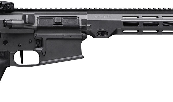 Maxim Defense MXM49689 MD10 L 6.5 Creedmoor 20+1 18" Fluted Barrel, Sniper Gray Rec/M-LOK Handguard, Black Magpul Furniture, SL-K Stock, MVG Grip, MBUS Sights, Blackout Defense Flat Trigger