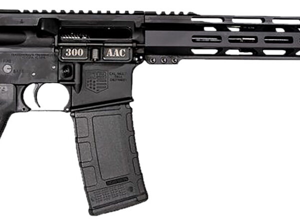 Diamondback DB1718B002 DB15  300 AAC Blackout 30+1 16" Black Nitride Threaded Barrel, Black Hardcoat Anodized Aluminum/Carbon Receiver w/Picatinny Rail Receiver, M-LOK Handguard, Magpul MOE Grip