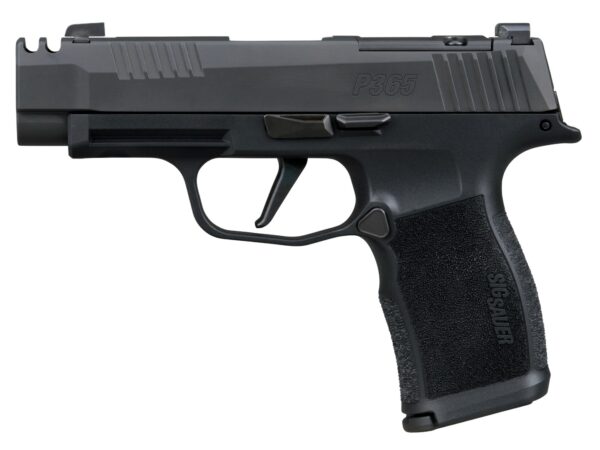 Sig Sauer 365XL380COMP10 P365XL 380 ACP 10+1 3.10" Black Ported Barrel, Black Nitron Stainless Steel Optic Cut/Ported/Serrated Slide, Black Stainless Steel Frame w/Picatinny Rail, Textured Grip, SIG-L