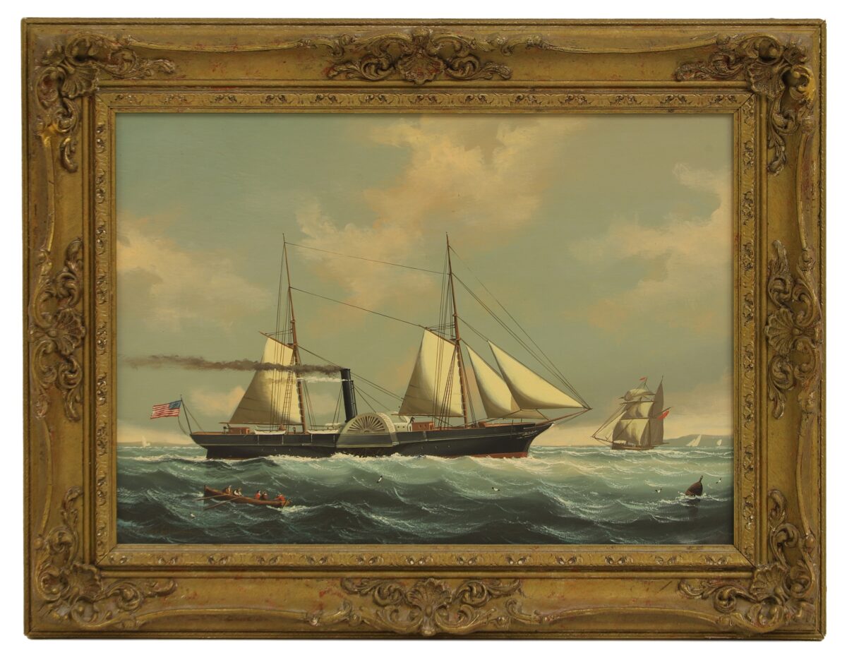 salvatore colacicco american paddle stea ZYZ3B