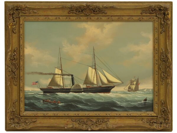 AMERICAN PADDLE