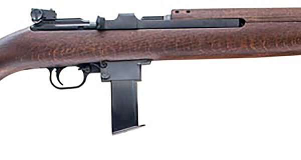 Chiappa Firearms 500136 M1-9 Carbine 9mm Luger 10+1 19" Blued Steel Barrel & Bolt, Alloy Receiver, Wood Stock & Forend Includes 2 Magazines
