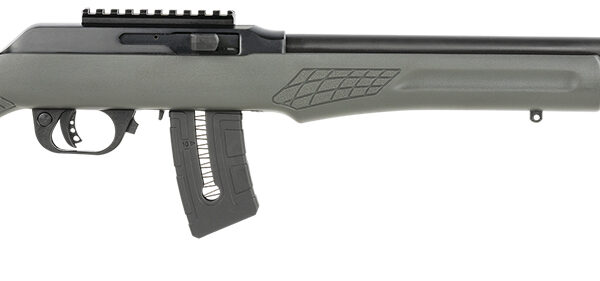 Rossi RS22W2111G RS22  22 WMR 10+1 21" Matte Black Barrel, Matte Black Alloy Steel Frame, Gray Fixed Monte Carlo Stock Right Hand