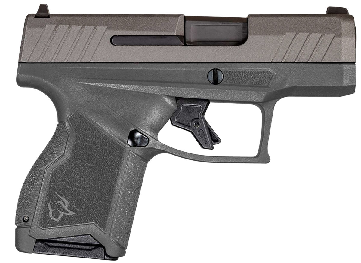 Taurus 1-GX4M93CG GX4 Micro-Compact 9mm Luger Caliber with 3.06" Barrel, 11+1 Capacity, Gray Finish Frame, Serrated Tungsten Gray Cerakote Steel Slide & Interchangeable Backstrap Grip Includes 2 Mags 1 146670