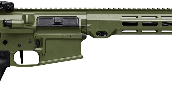 Maxim Defense MXM49684 MD10 L 308 Win 20+1 16" Fluted Barrel, Bazooka Green Cerakote Finish, M-LOK Handguard, Black Magpul Furniture, SL-K Stock, MVG Grip, MBUS Sights, Blackout Defense Flat Trigger
