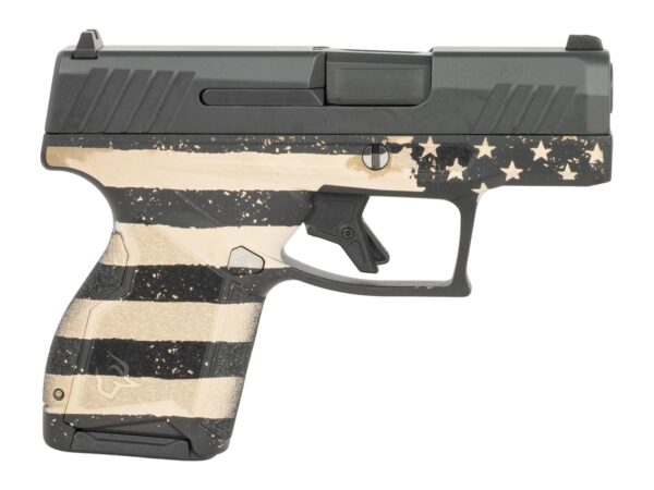 Taurus 1-GX4M931-EN4 GX4  Micro-Compact Frame 9mm Luger 11+1 3.06" Alloy Steel Serrated Slide Stainless Steel Frame