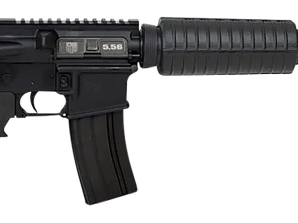 Diamondback DB1717K004 DB15  223 Rem,5.56x45mm NATO 16" 30+1 Black Hard Coat Anodized 6 Position Stock Black A2 Grip