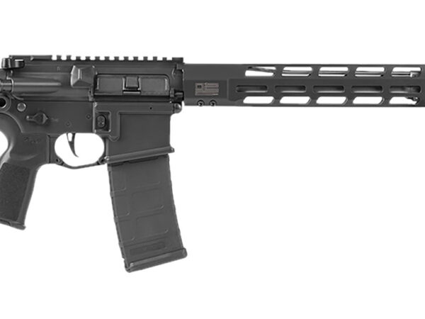 SIG RM40016BTRDV210        M400 556 16    10R  BLK