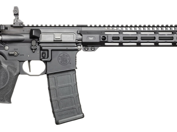 S&W M&P15 AXE    13665 556 16.1 30R BLK