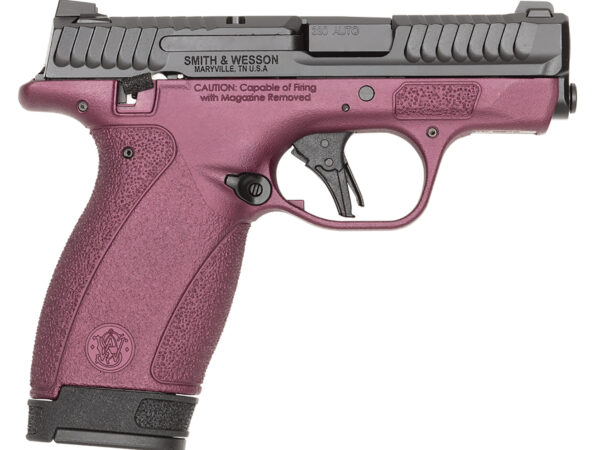 S&W BODYGRD 2.0    14661 380      TS H-319 BCF